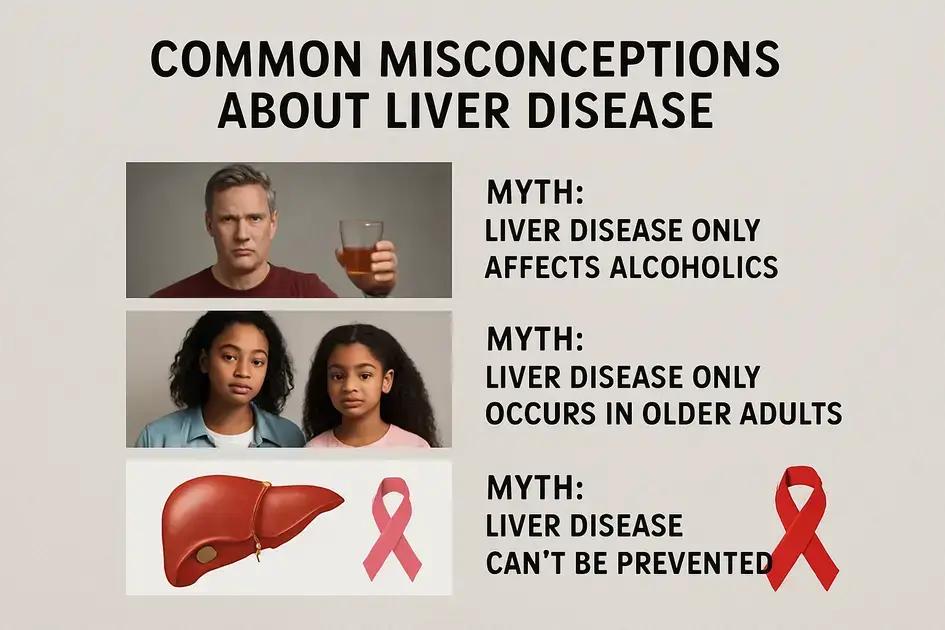 Common misconceptions about liver disease