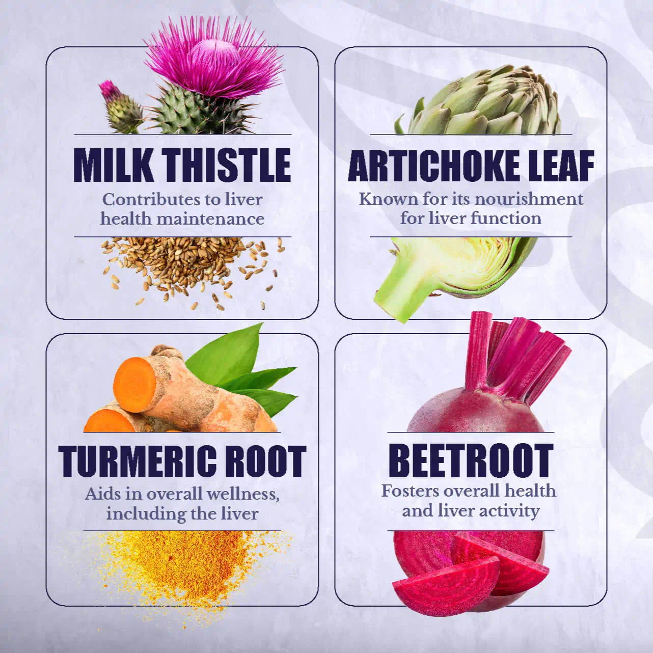 Digestion Problems SOLVED!